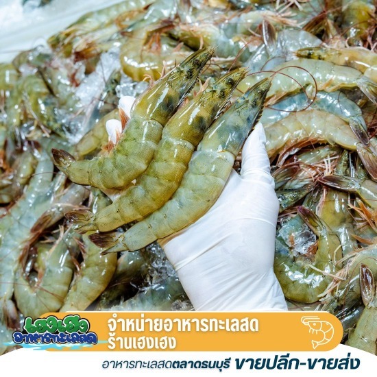 ขายส่งกุ้งขาว - ขายส่งอาหารทะเลตลาดธนบุรี เฮงเฮงอาหารทะเลสด ขายส่งกุ้งขาว - ขายส่งอาหารทะเลตลาดธนบุรี เฮงเฮงอาหารทะเลสด