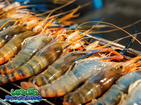กุ้งก้ามกรามพร้อมบริการเผาให้ฟรี