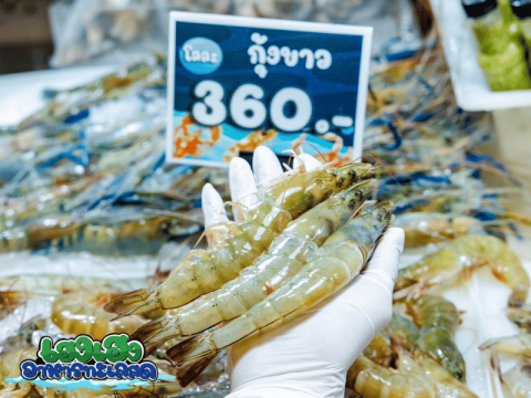 กุ้งขาวคัดพิเศษ