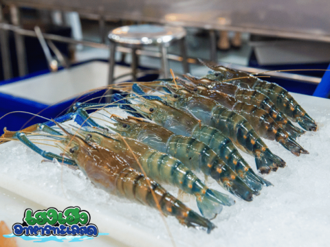กุ้งตัวแน่นสดใหม่