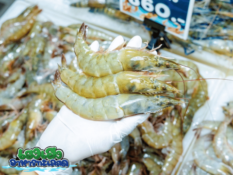 กุ้งสด ตัวแน่น ไซส์ใหญ่
